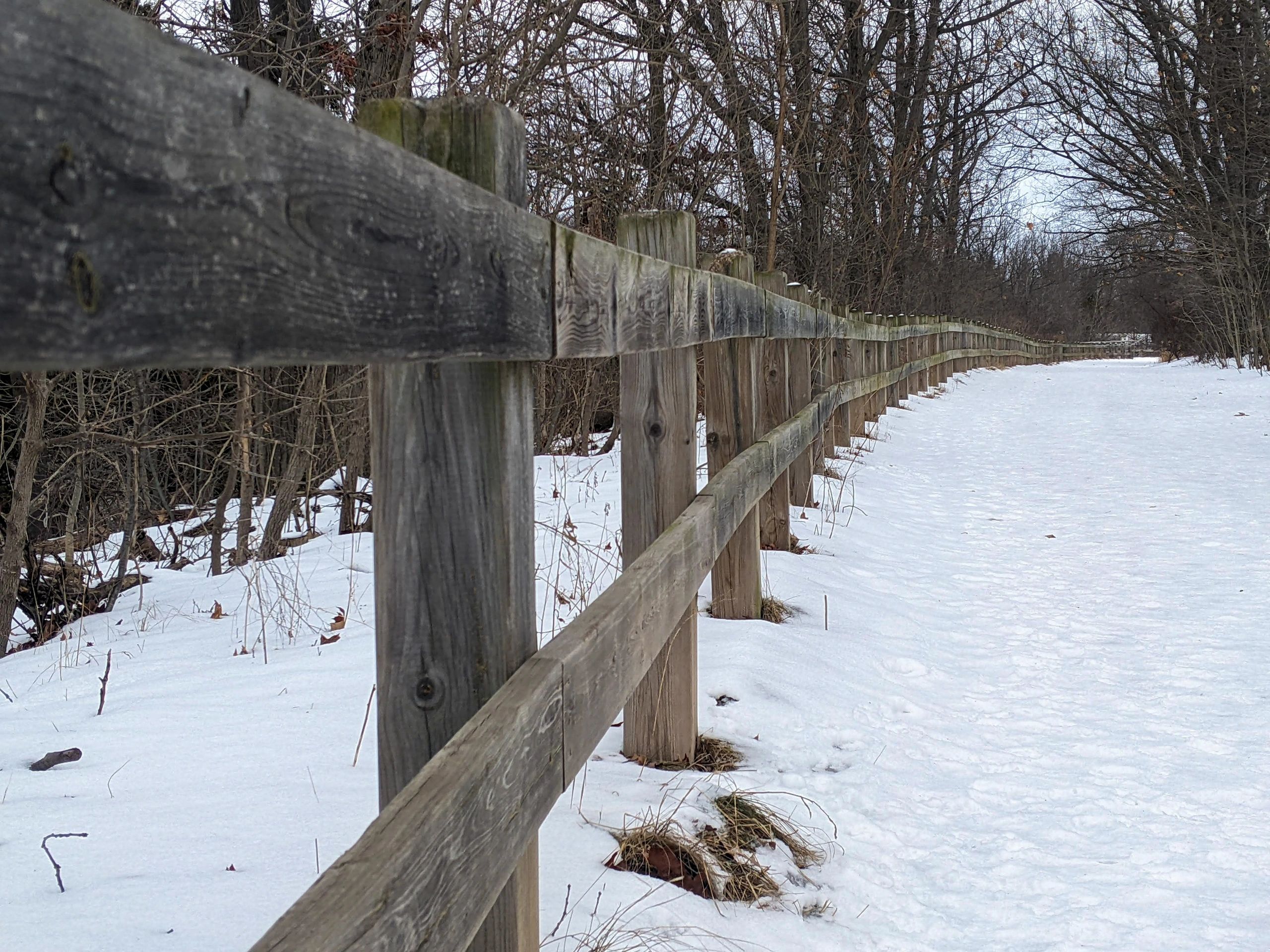 Wood fence running along a landscaped path